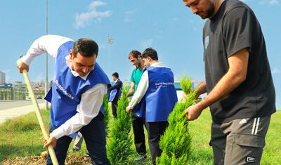 "Sabah"ın futbolçuları Masazırda 100-ə yaxın ağac əkdi -