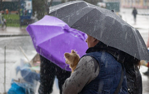 Bu gün temperatur 4-7° enəcək - Xəbərdarlıq edildi!