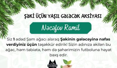 Azərbaycanda klub yaşamaq üçün ağac satmağa başladı -