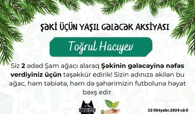 Azərbaycanda klub yaşamaq üçün ağac satmağa başladı -